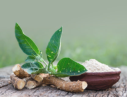 Upotreba korijena i lista