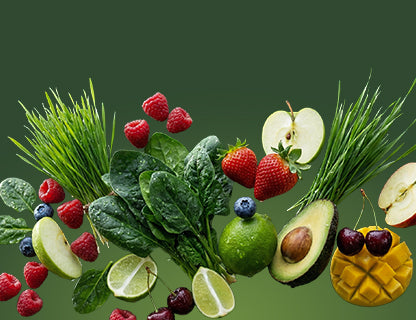 VitaBerry® antioksidans formula