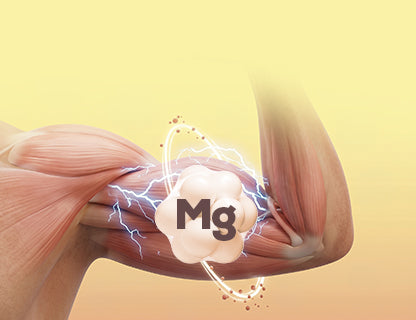 Organski magnezijev bisglicinat