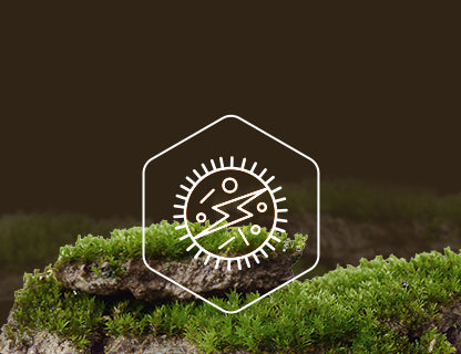 Nikotinamid-ribozid-klorid, izvor energije za stanice