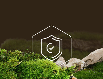 L-glutation, unutarnji zaštitni štit