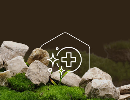 Trans-resveratrol, snaga polifenola