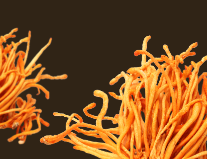 Cordyceps, energija vrhunaca