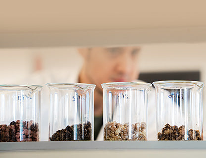 Tražiš harmoničan sastav